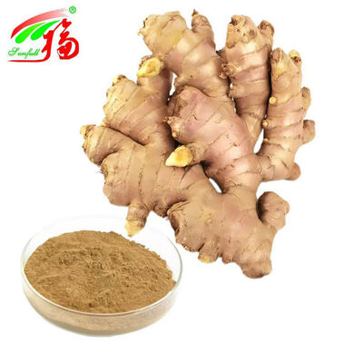 Chiết xuất Gừng Chiết xuất rễ Gừng Gingerols 10% 5% 1% Thức tiêu hóa Thức thở hỗ trợ và vận động khớp