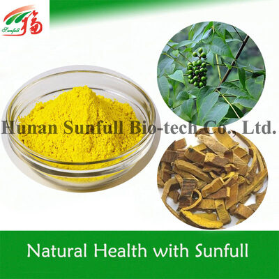 Chiết xuất Berberine hcl dạng bột tinh thể màu vàng kháng khuẩn từ các loài Berberis (Barberry) với số CAS 633-65-8