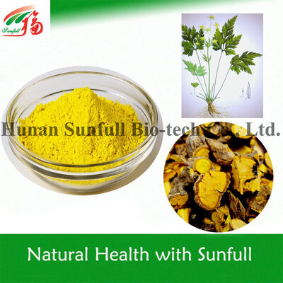 100% Berberine HCl tự nhiên 97% 98% từ rễ Hoàng Liên (Coptis chinensis) với số CAS 633-65-8