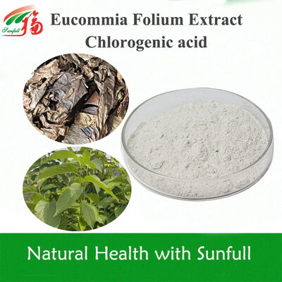 Chất chiết xuất lá Eucommia Ulmoides tinh khiết cao axit chlorogenic 5%-99% thông số kỹ thuật trong kho