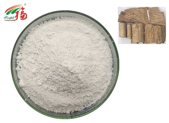 Bột chiết xuất từ ​​thực vật Eucommia Ulmoides 98% axit chlorogenic để giảm đau lưng
