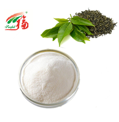 Bột chiết xuất trà xanh KOSHER 98% EGCG Epigallocatechin Gallate cho mỹ phẩm