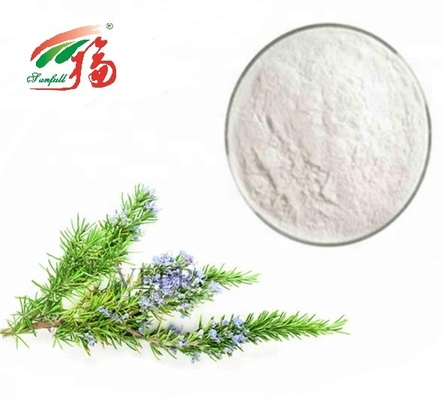 90% - 98% Bột axit Rosmarinic / Chiết xuất chất chống oxy hóa hương thảo cho dược phẩm